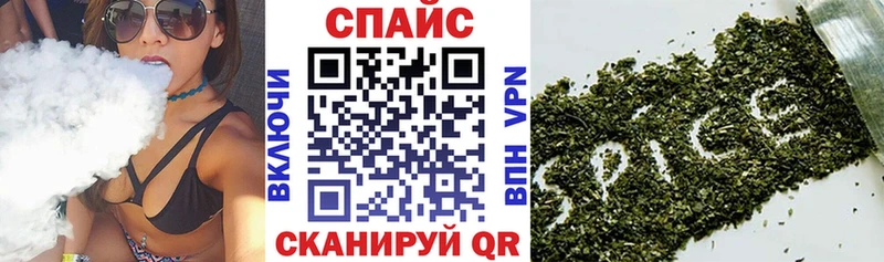 мориарти телеграм  что такое   Вытегра  БУТИРАТ буратино 
