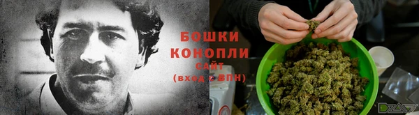 ешки Семилуки