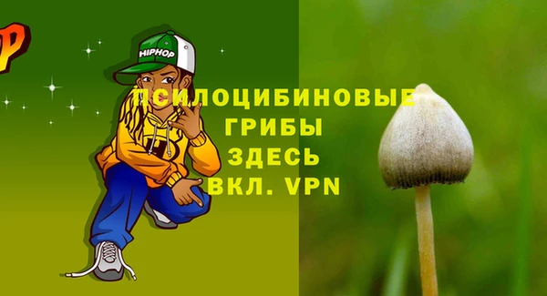 мдпв Волосово