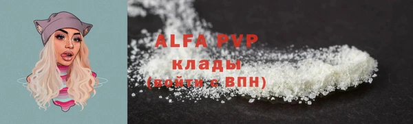 прущие грибы Сатка