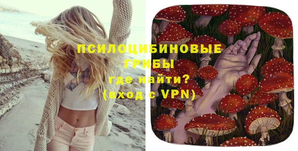 apvp Володарск