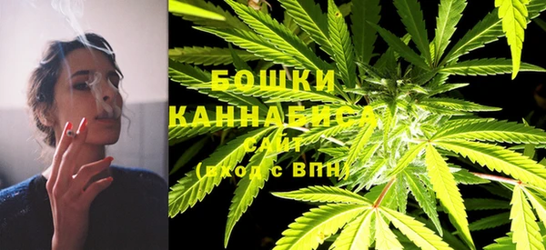 не бодяженный Галич