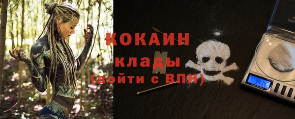 сатива Сафоново