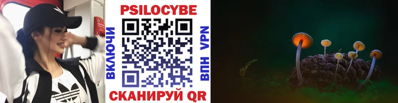 Псилоцибиновые грибы Psilocybe  Вытегра 